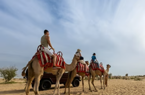 Camel Caravan, Bedouin Breakfast