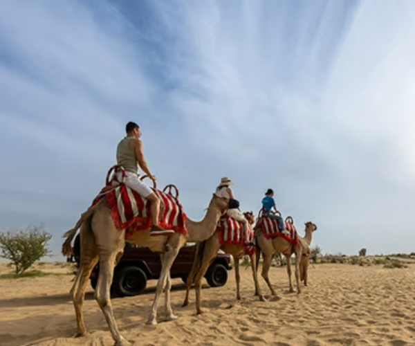 Camel Caravan, Bedouin Breakfast